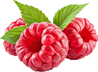 Sablés Framboise 2